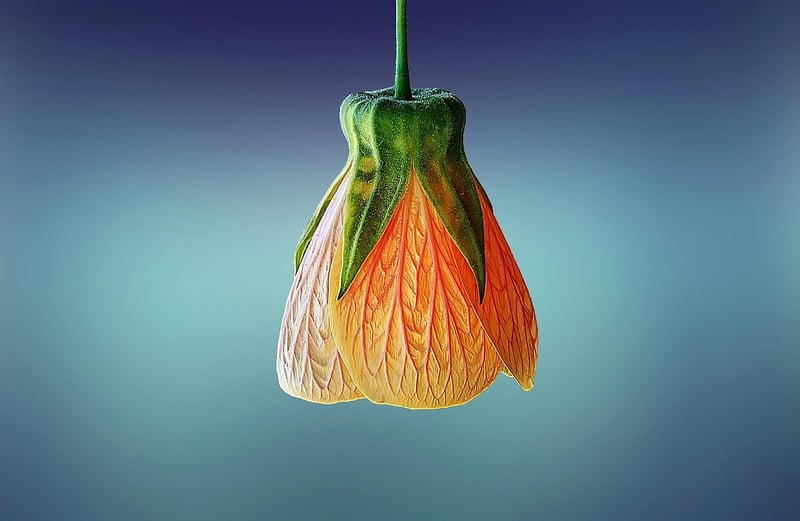 Hanging plant projects